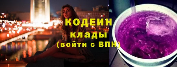 дмт Ладушкин