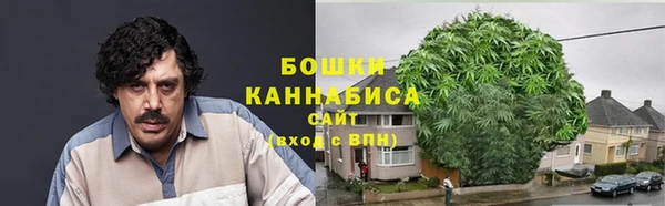2c-b Лабытнанги
