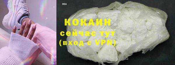 дмт Ладушкин