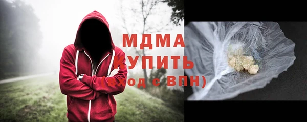ГАЛЛЮЦИНОГЕННЫЕ ГРИБЫ Лагань