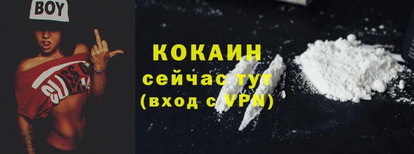 дмт Ладушкин