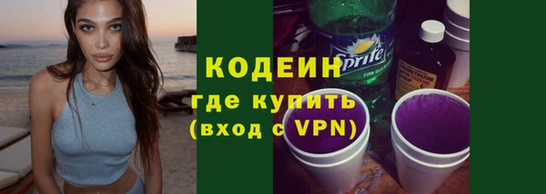 дмт Ладушкин
