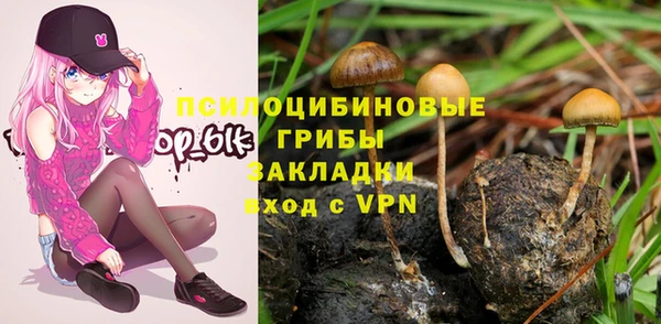 ГАЛЛЮЦИНОГЕННЫЕ ГРИБЫ Лагань