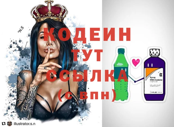 ГАЛЛЮЦИНОГЕННЫЕ ГРИБЫ Лагань
