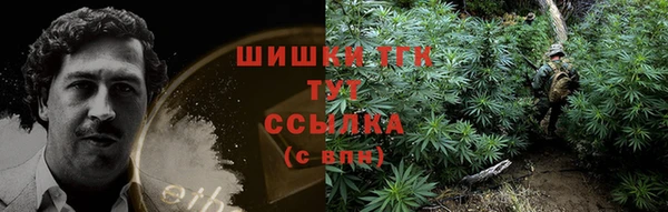 ГАЛЛЮЦИНОГЕННЫЕ ГРИБЫ Кулебаки
