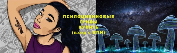 ГАЛЛЮЦИНОГЕННЫЕ ГРИБЫ Лагань