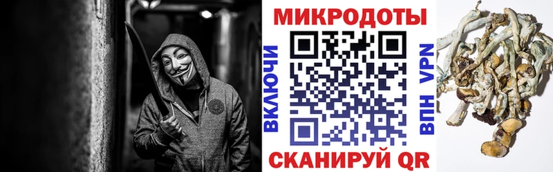 Купить  Чудово  Псилоцибиновые грибы Cubensis 